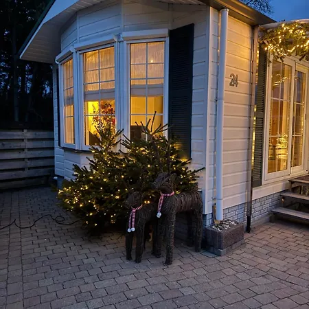 Aan De Bosrand Chalet De Koog (Texel)