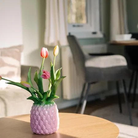 샬레 Aan De Bosrand