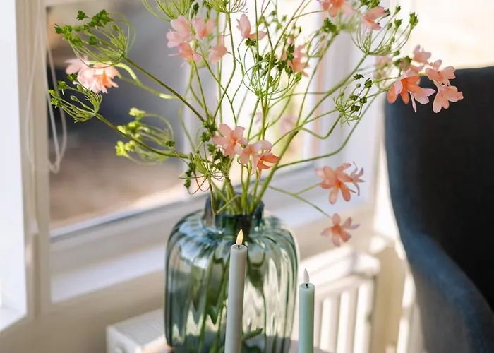 Aan De Bosrand 데쿠크